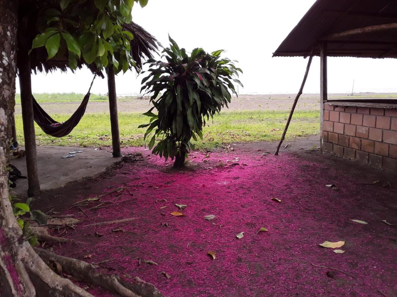 Safio. Una casa en el paraiso. Nuquí Exterior foto