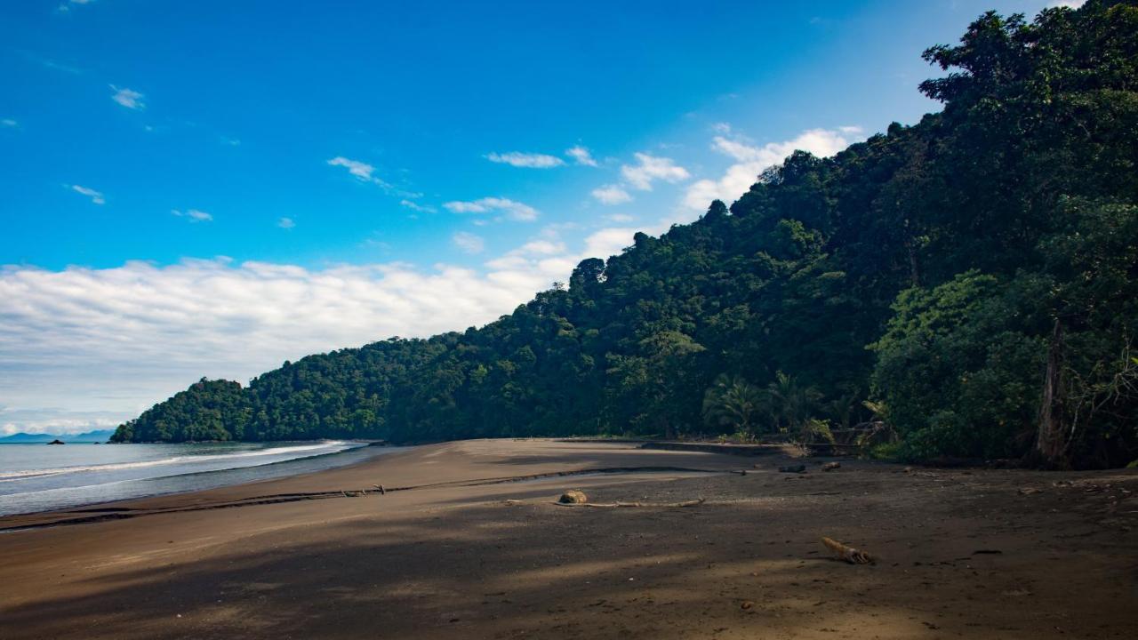 Safio. Una casa en el paraiso. Nuquí Exterior foto